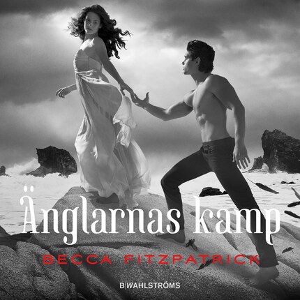 Änglarnas kamp bookCoverFor