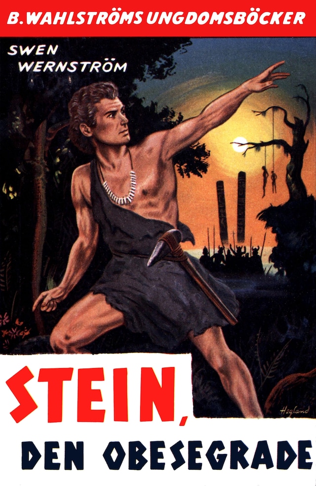 Boekomslag van Stein, den obesegrade - berättelse från yngre stenåldern