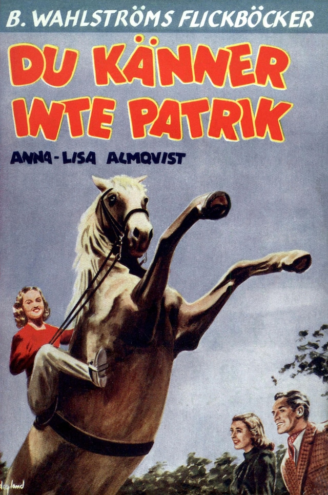 Book cover for Du känner inte Patrik