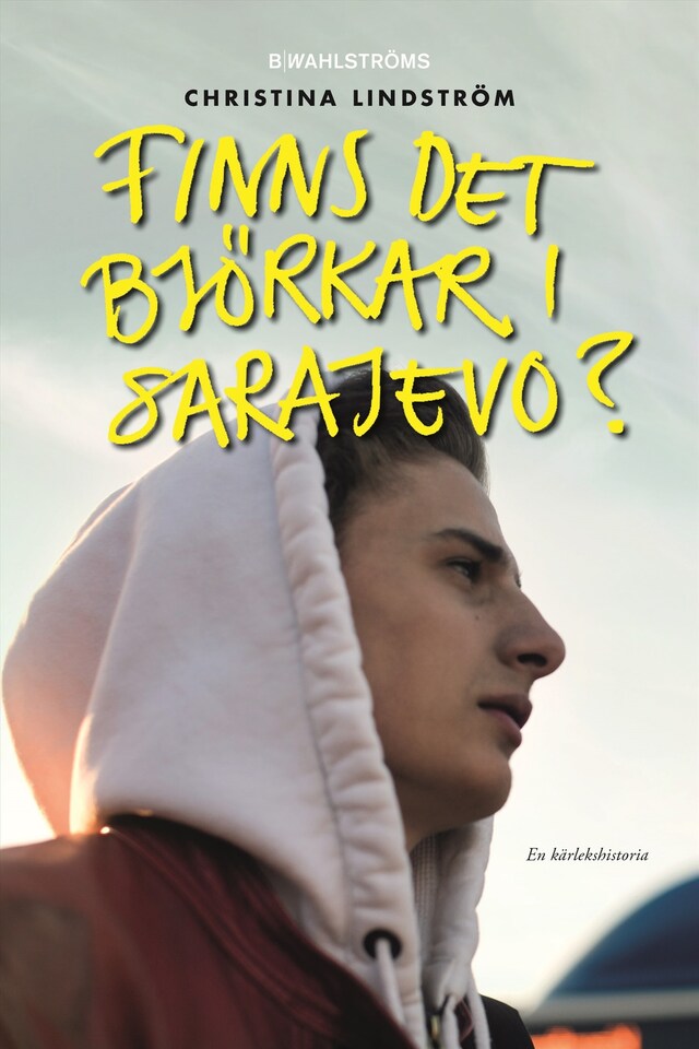 Book cover for Finns det björkar i Sarajevo?
