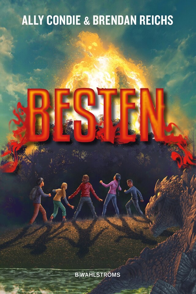 Book cover for Besten