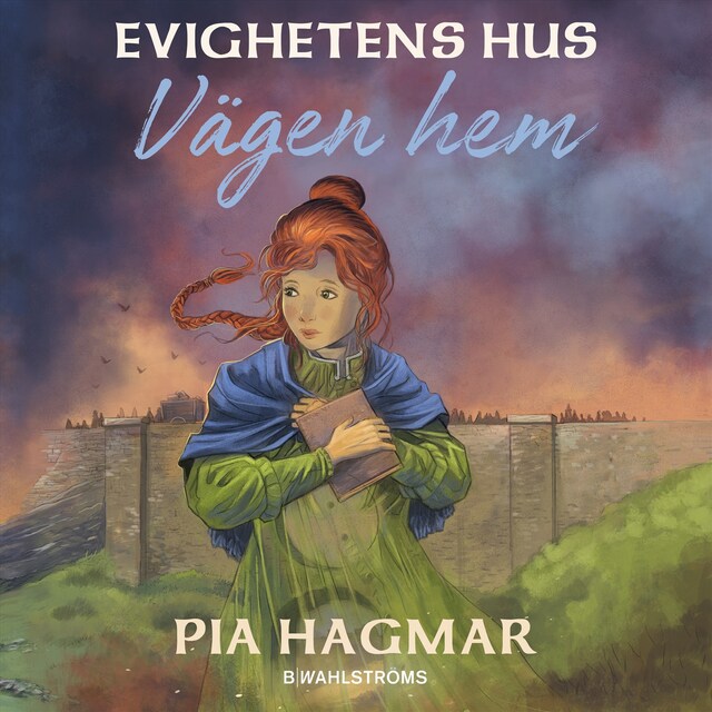 Book cover for Vägen hem