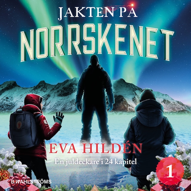 Book cover for Jakten på norrskenet : En juldeckare i 24 kapitel