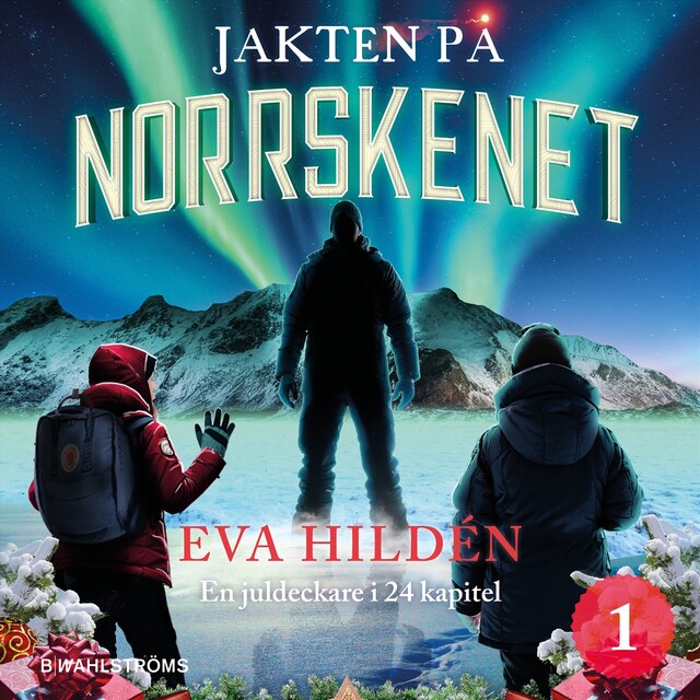 Buchcover für Jakten på norrskenet : En juldeckare i 24 kapitel