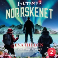Jakten på norrskenet : En juldeckare i 24 kapitel