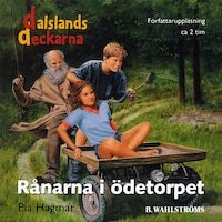 Rånarna i ödetorpet