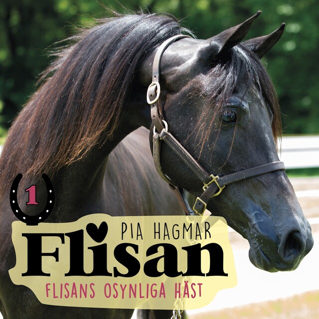 Copertina del libro per Flisans osynliga häst