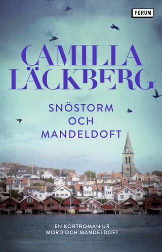 Snöstorm och mandeldoft : en kortroman ur Mord och mandeldoft bookCoverFor
