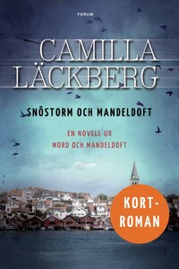 Snöstorm och mandeldoft av Camilla Läckberg