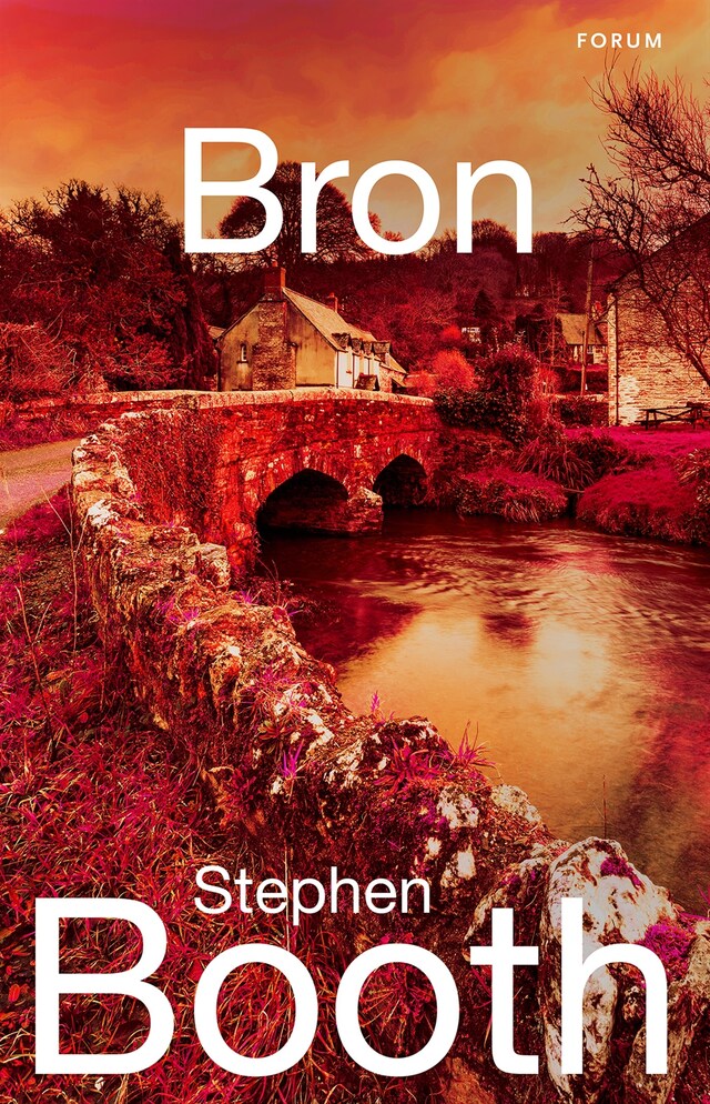 Buchcover für Bron