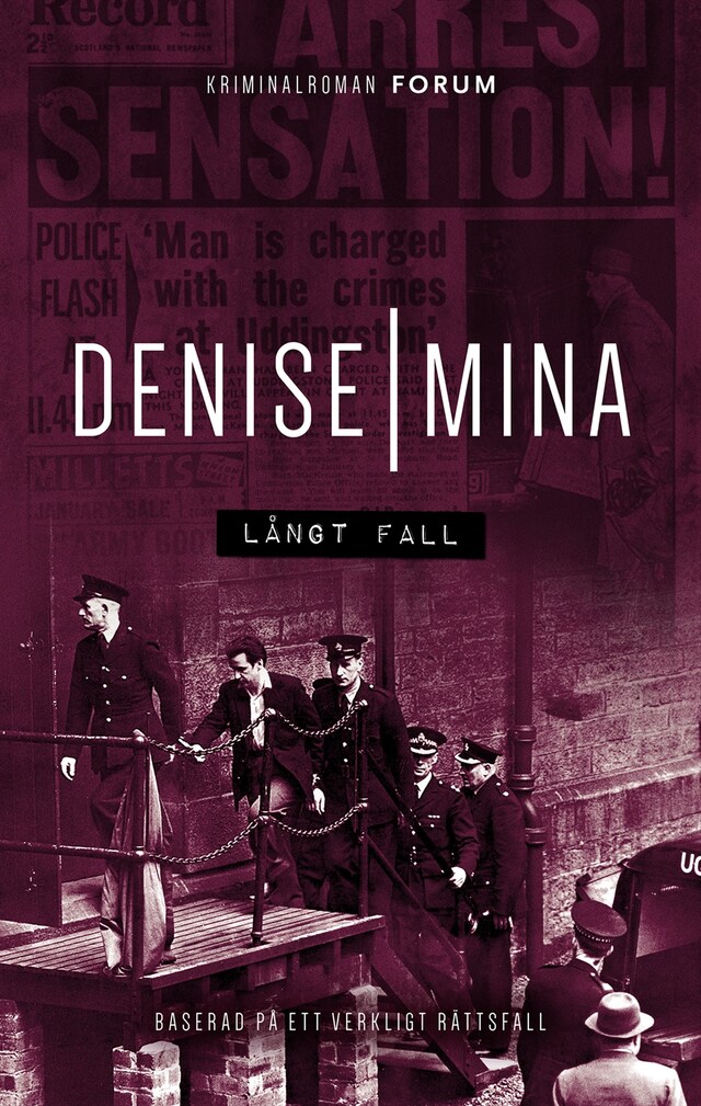 Book cover for Långt fall