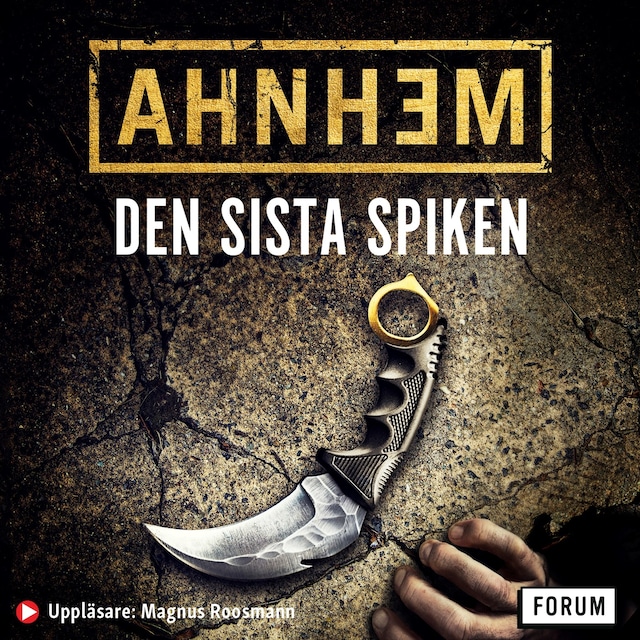 Book cover for Den sista spiken