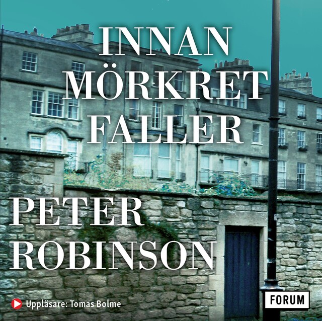 Book cover for Innan mörkret faller