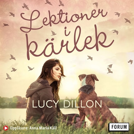 Lektioner i kärlek bookCoverFor