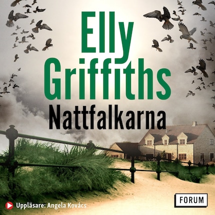 Nattfalkarna bookCoverFor