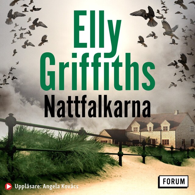 Couverture de livre pour Nattfalkarna