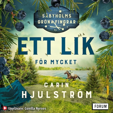 Ett lik för mycket bookCoverFor