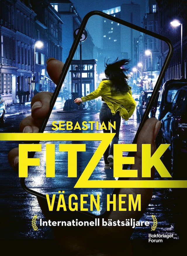 Book cover for Vägen hem