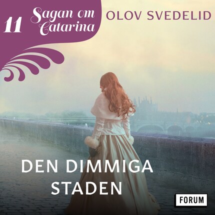 Den dimmiga staden bookCoverFor