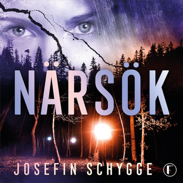 Book cover for Närsök