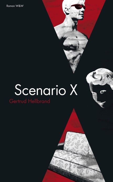Scenario X bookCoverFor