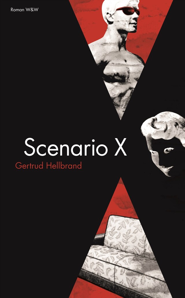 Book cover for Scenario X