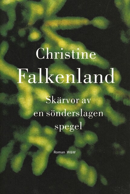 Skärvor av en sönderslagen spegel bookCoverFor
