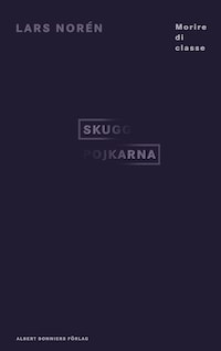 Skuggpojkarna