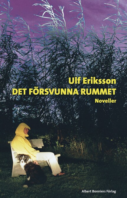 Det försvunna rummet bookCoverFor