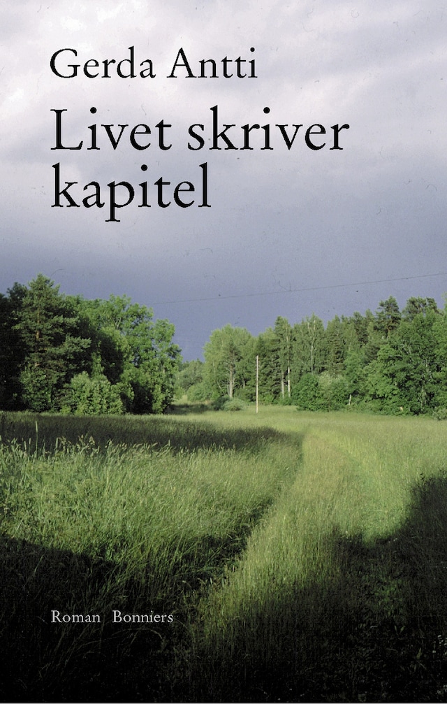 Boekomslag van Livet skriver kapitel