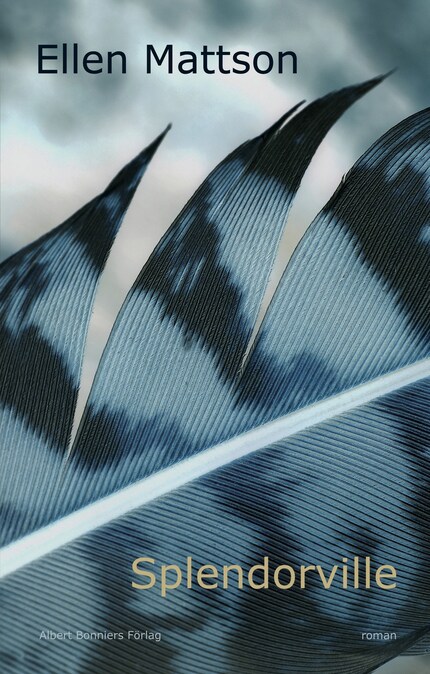 Splendorville bookCoverFor
