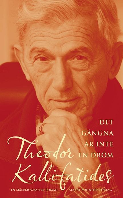 Det gångna är inte en dröm : en självbiografisk roman bookCoverFor