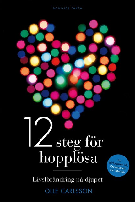 12 steg för hopplösa bookCoverFor