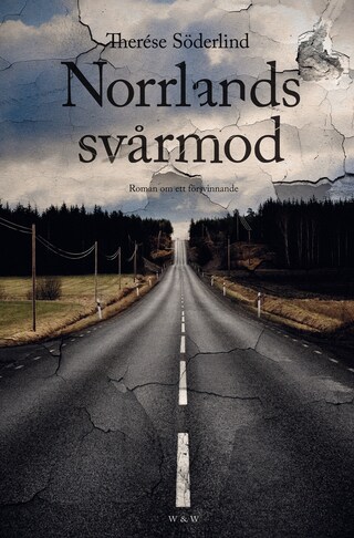 Norrlands svårmod : Roman om ett försvinnande bookCoverFor