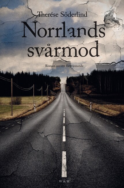 Norrlands svårmod : Roman om ett försvinnande bookCoverFor