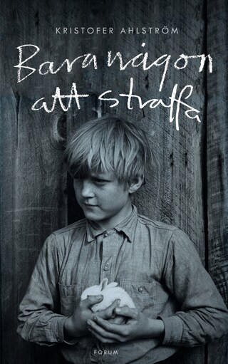 Bara någon att straffa bookCoverFor