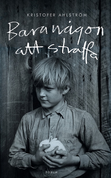 Bara någon att straffa bookCoverFor