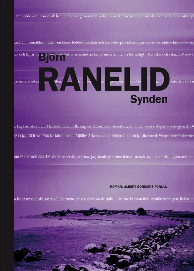 Book cover for Synden