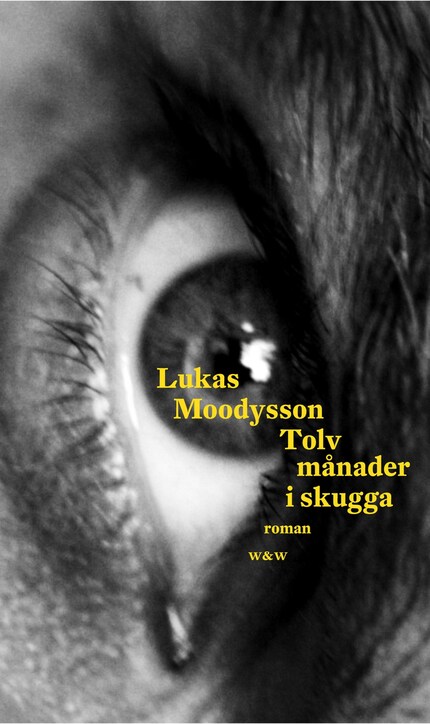 Tolv månader i skugga bookCoverFor