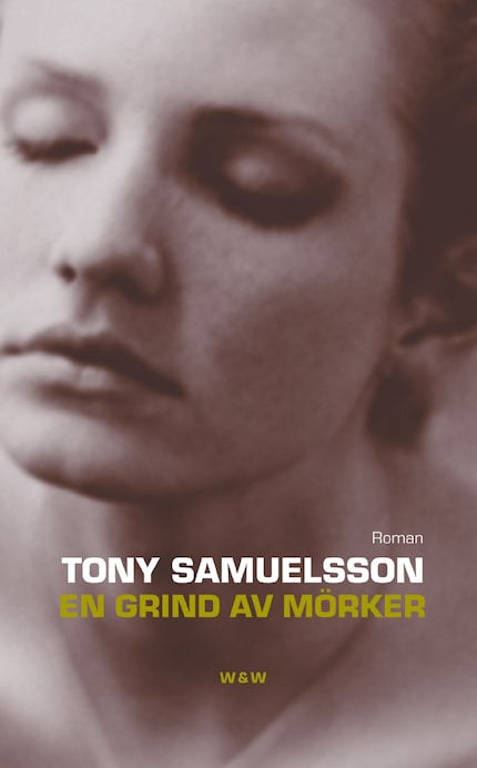 En grind av mörker bookCoverFor