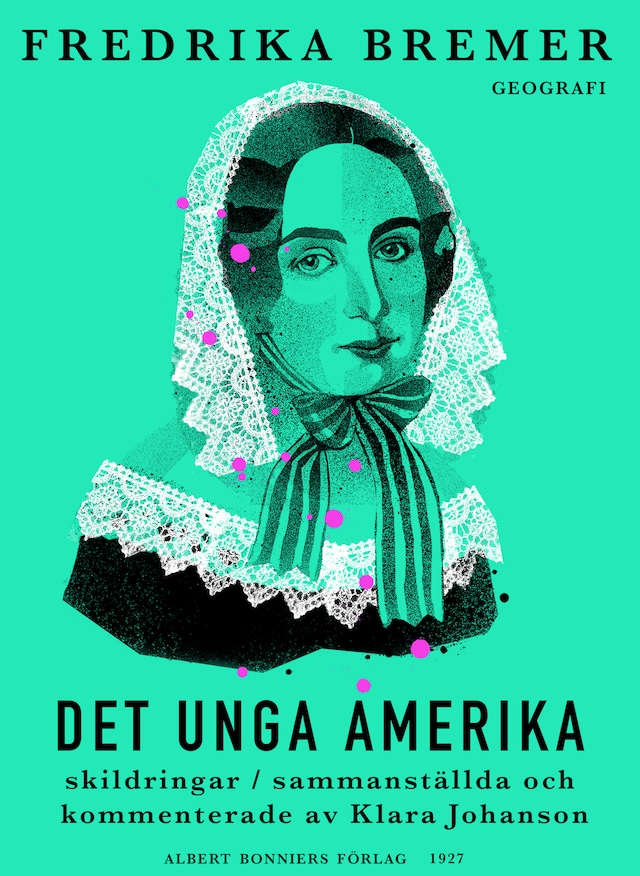 Book cover for Det unga Amerika : skildringar