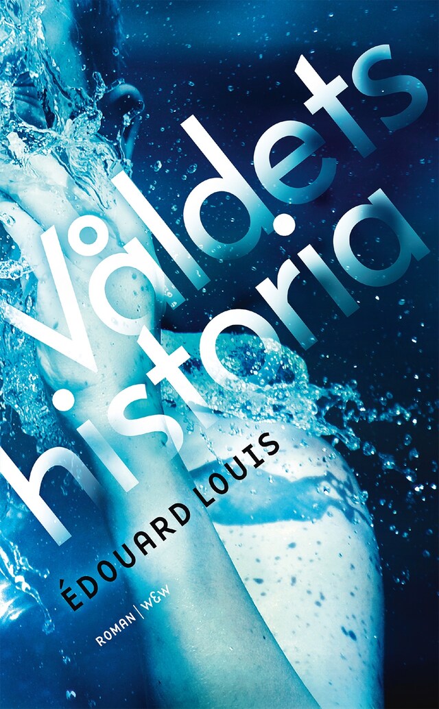 Book cover for Våldets historia