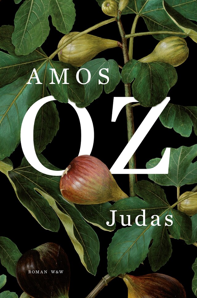 Buchcover für Judas