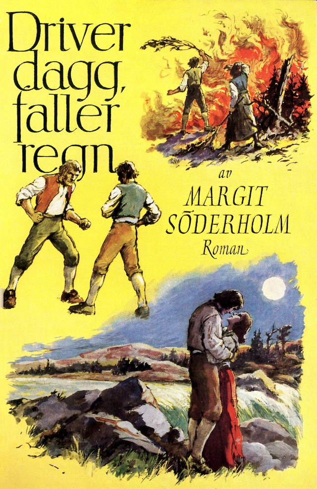 Book cover for Driver dagg, faller regn