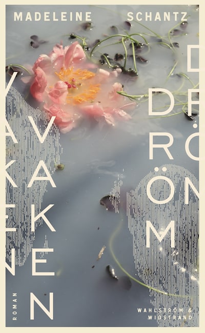 Vaken dröm