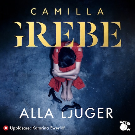 Alla ljuger bookCoverFor