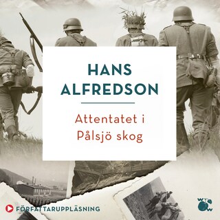 Attentatet i Pålsjö skog bookCoverFor