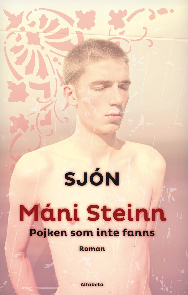 Book cover for Máni Steinn : pojken som inte fanns