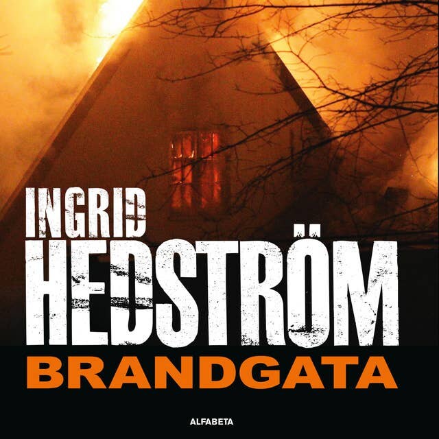 Book cover for Brandgata