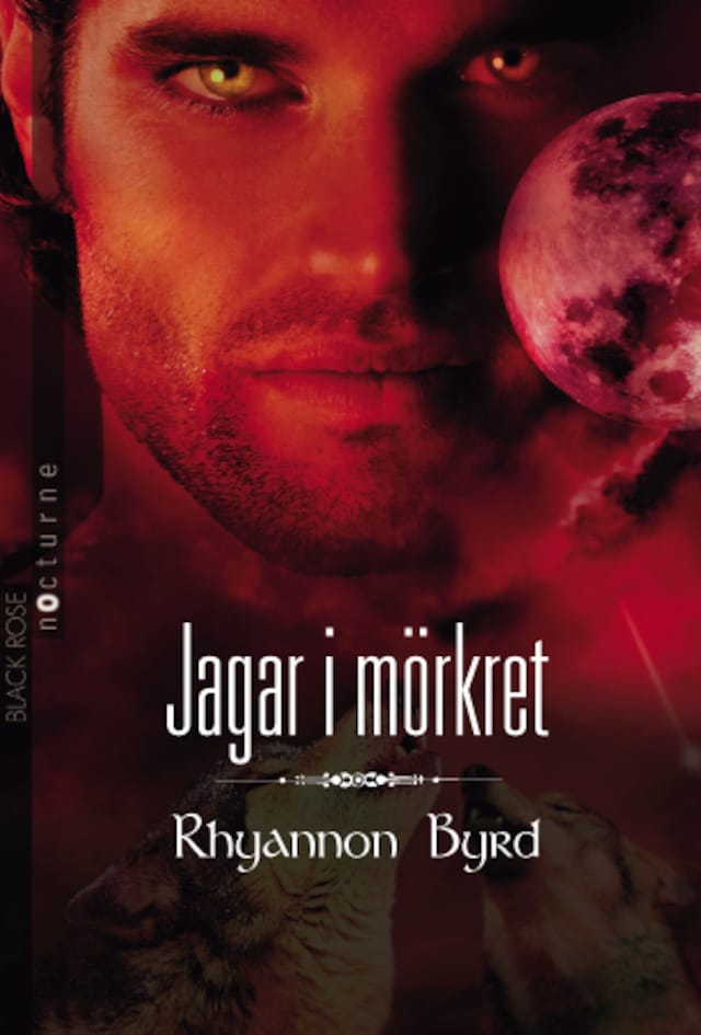 Book cover for Jagar i mörkret